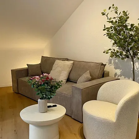 Appartement Design Gruppen & Business 10 Min Zu Sap Leimen (Baden)