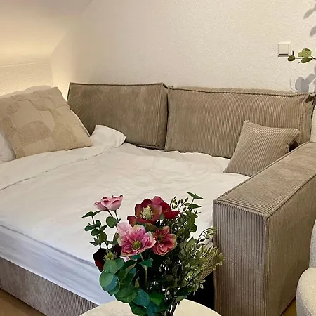 Apartmán Design Gruppen & Business 10 Min Zu Sap *